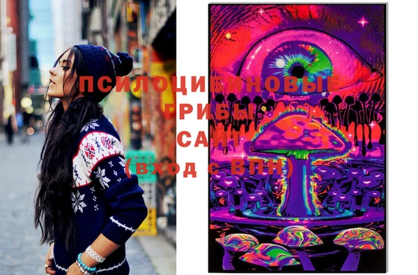 крисы Сосновка